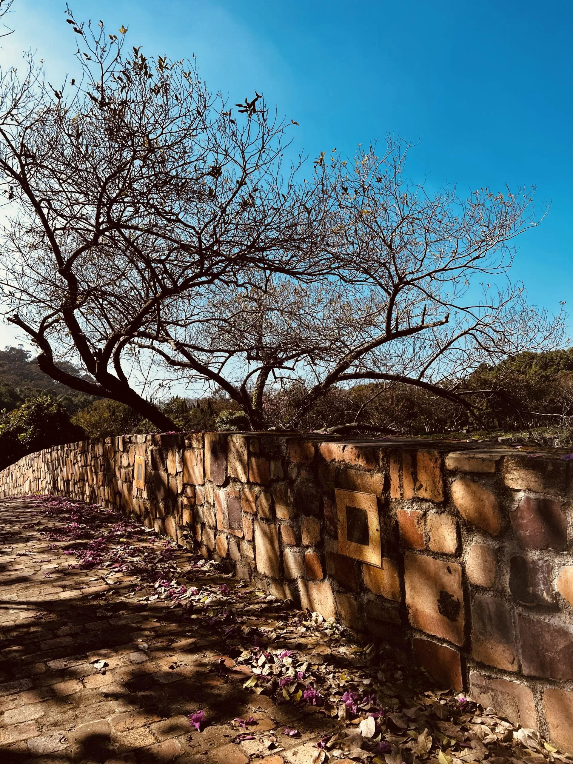 台中新社莊園古堡