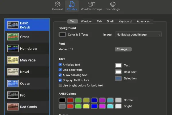 What happened to the original terminal after you have installed iTerm2 with Powerlevel10K?