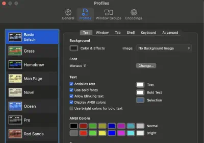 What happened to the original terminal after you have installed iTerm2 with Powerlevel10K?